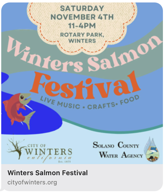 Winters Salmon Festival